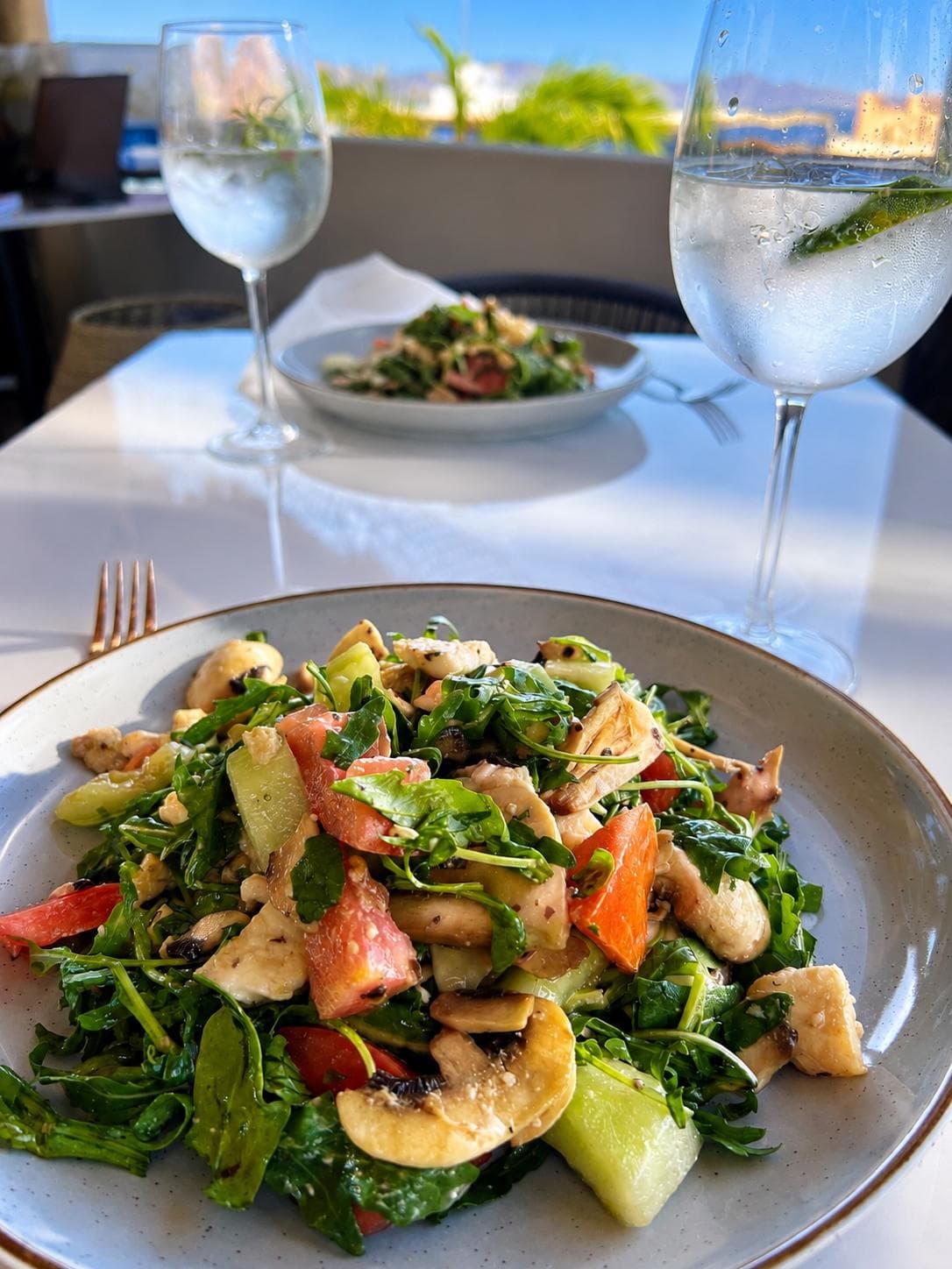 Fresh Green Salad